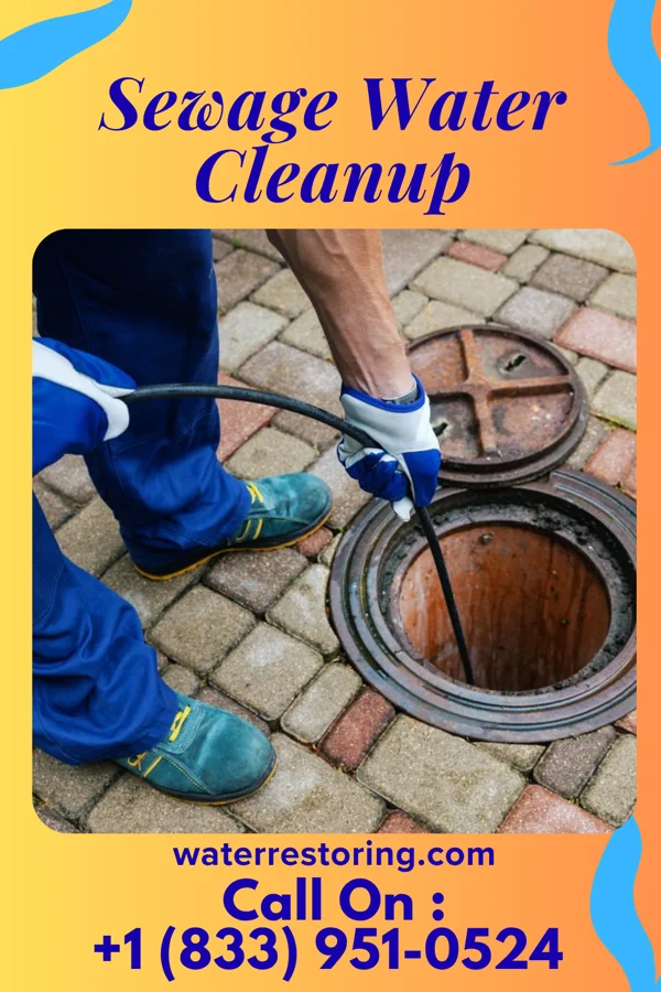 Sewage Water Cleanup in San Ysidro, NM